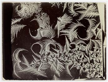 BENTLEY, WILSON A. (1865-1931) Group of 5 photographs of frost studies.